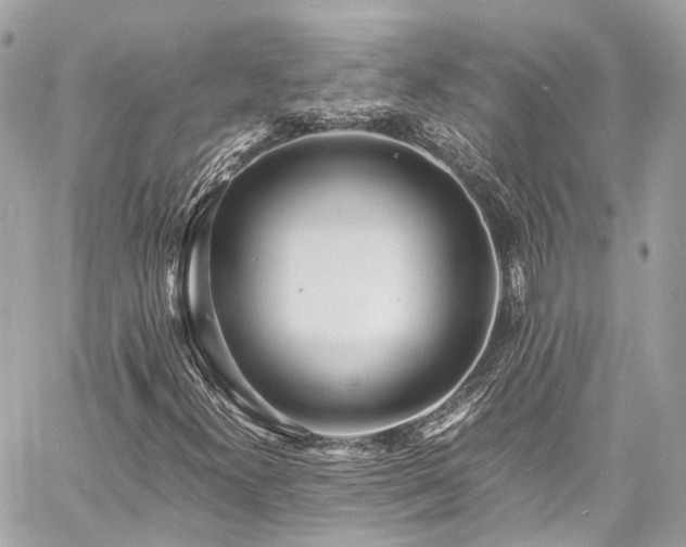 X0000060751300200511141148