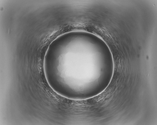 X0000060751301200511141148