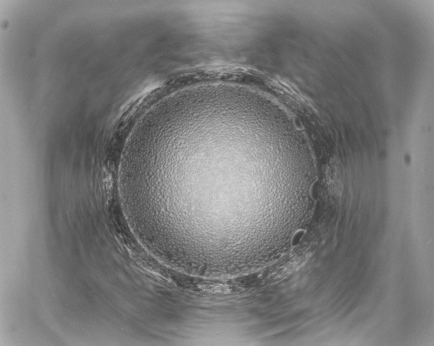 X0000060751302200511141148