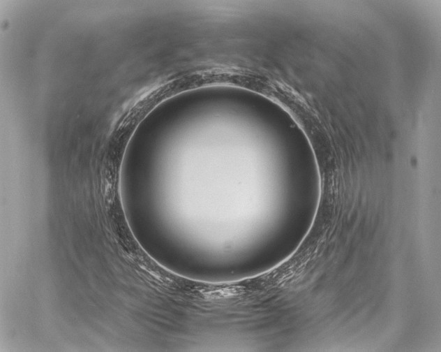 X0000060751303200511141148