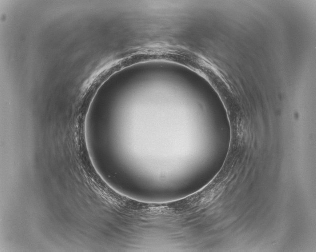 X0000060751304200511141148