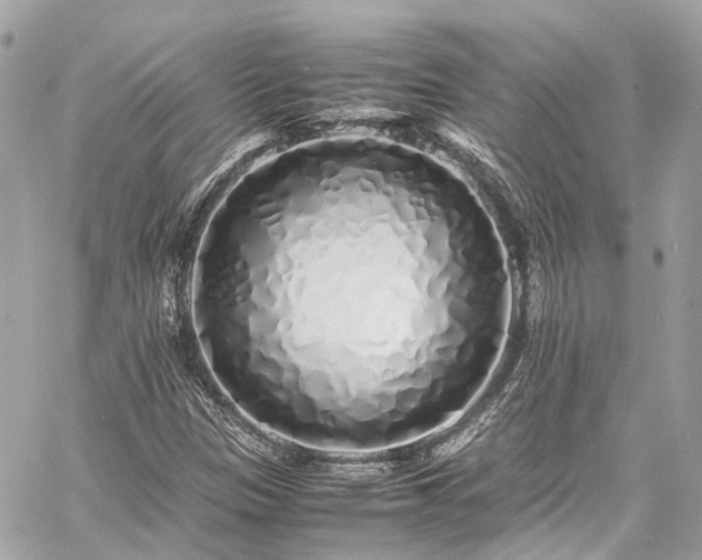 X0000060751305200511141148