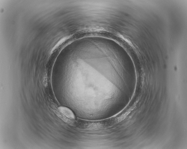 X0000060751306200511141148