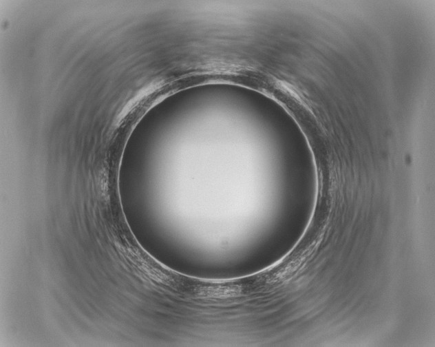 X0000060751307200511141148