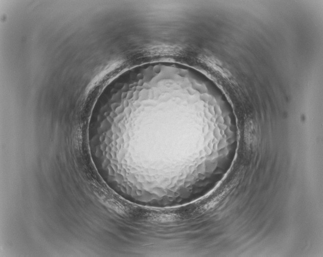 X0000060751309200511141148