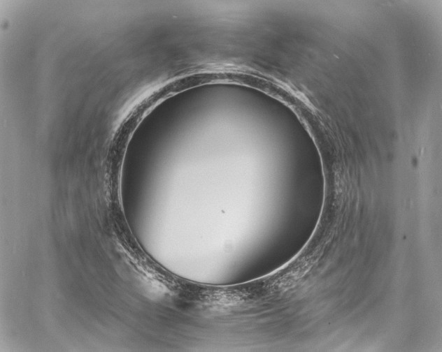 X0000060751311200511141148