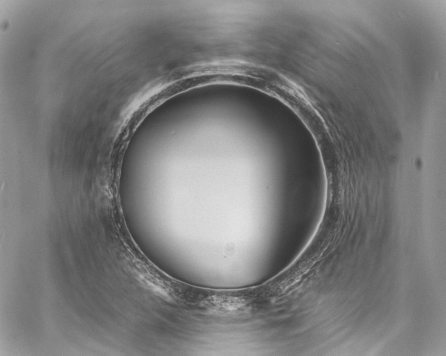 X0000060751312200511141148