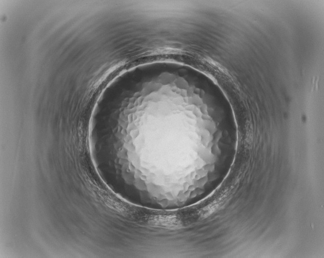 X0000060751313200511141148