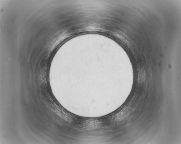 X0000060751314200511141148