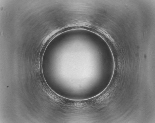 X0000060751316200511141148