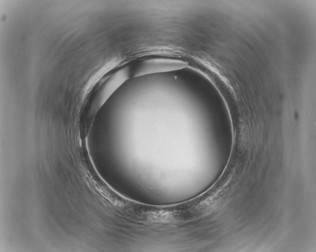 X0000060751317200511141148