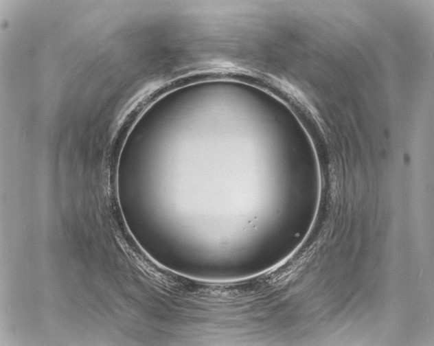 X0000060751318200511141148