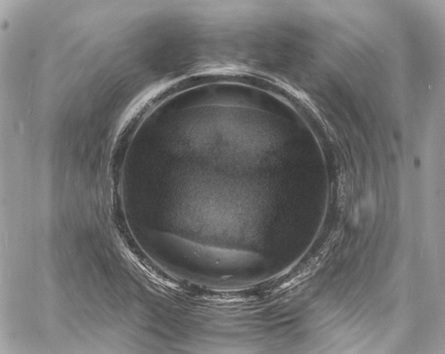 X0000060751319200511141148