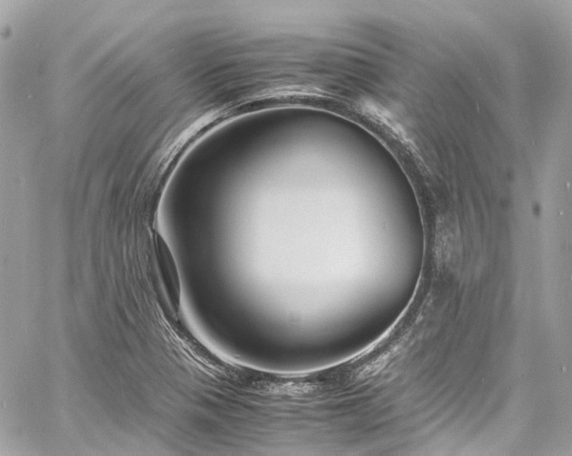 X0000060751321200511141149