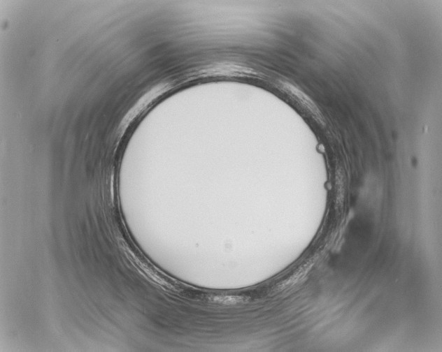 X0000060751322200511141149