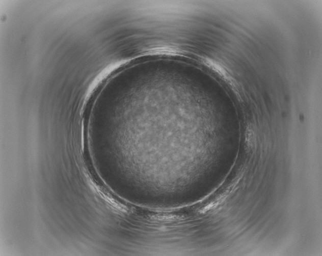 X0000060751323200511141149