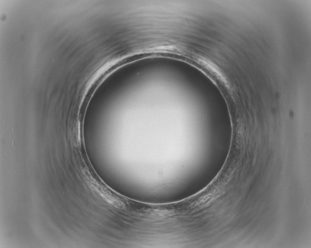 X0000060751324200511141149