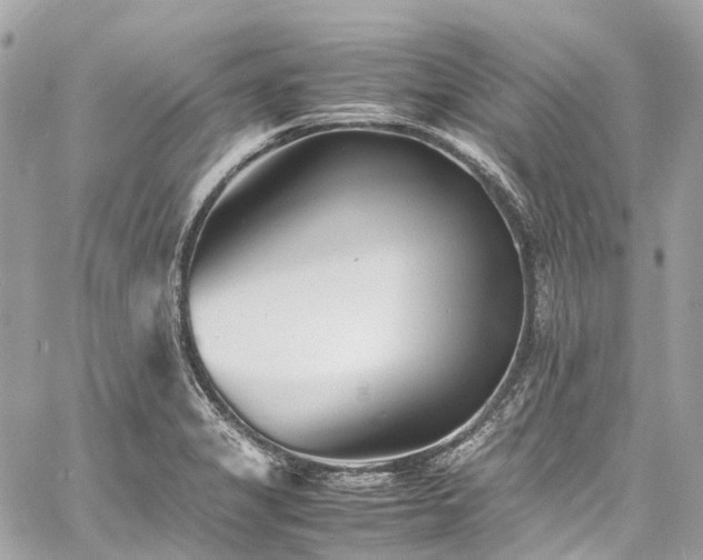 X0000060751325200511141149