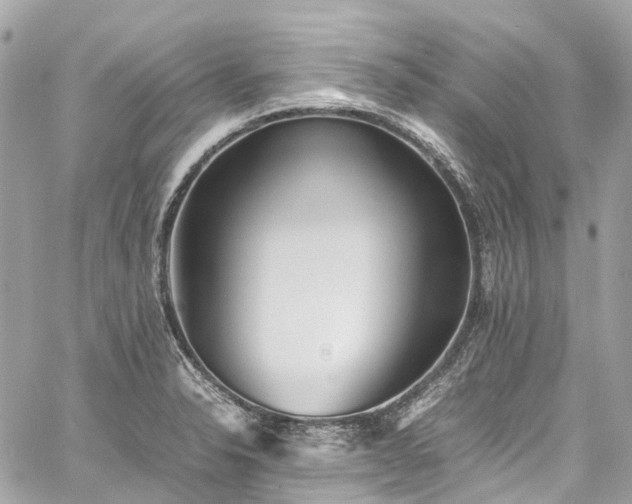 X0000060751326200511141149