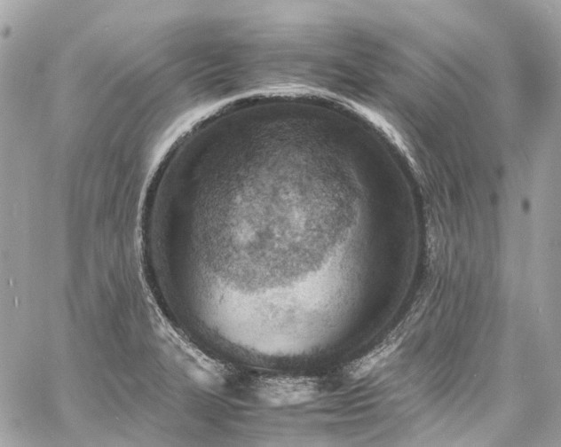 X0000060751327200511141149