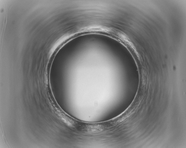 X0000060751328200511141149