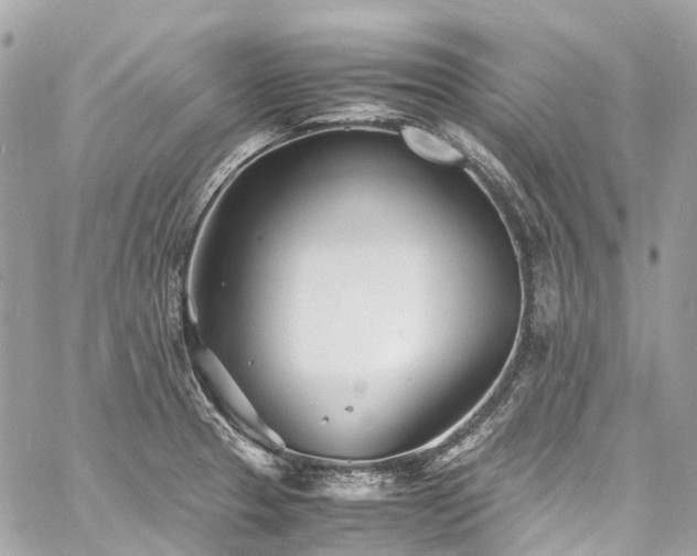 X0000060751329200511141149