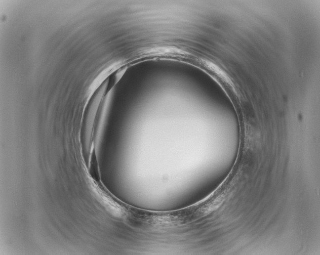 X0000060751330200511141149