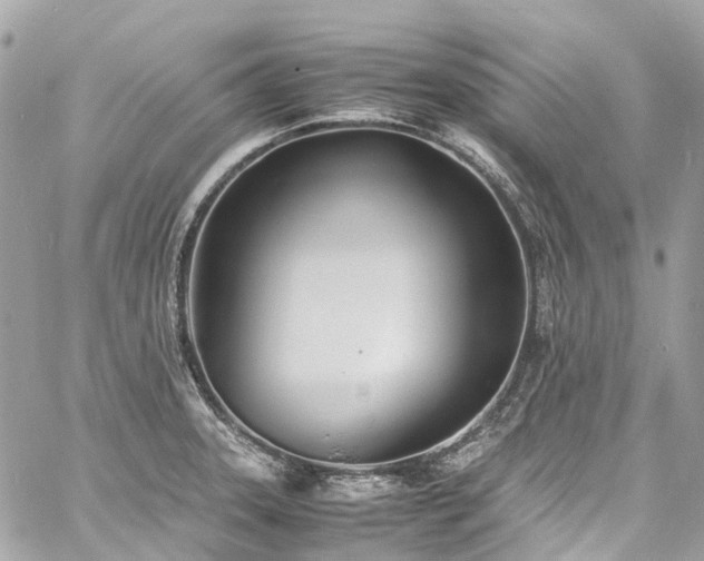 X0000060751331200511141149