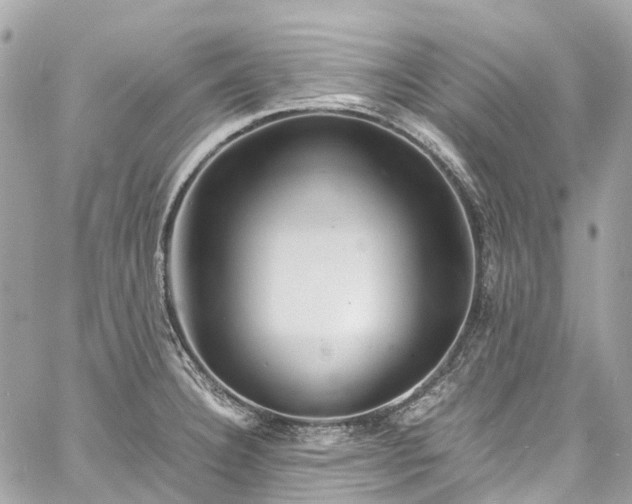 X0000060751332200511141149