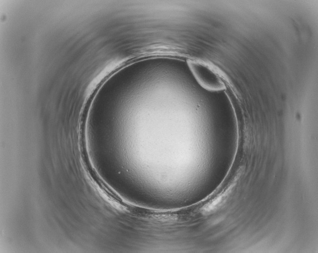 X0000060751333200511141149