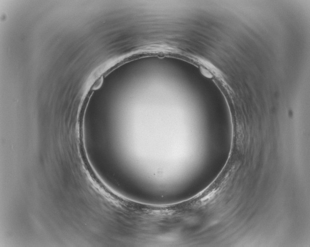 X0000060751335200511141149