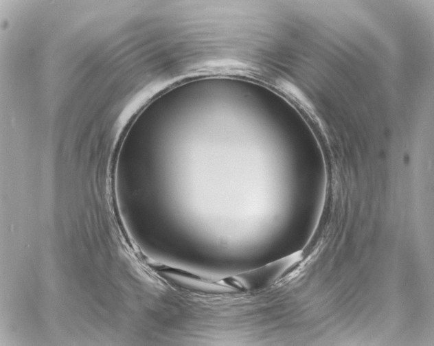 X0000060751336200511141149