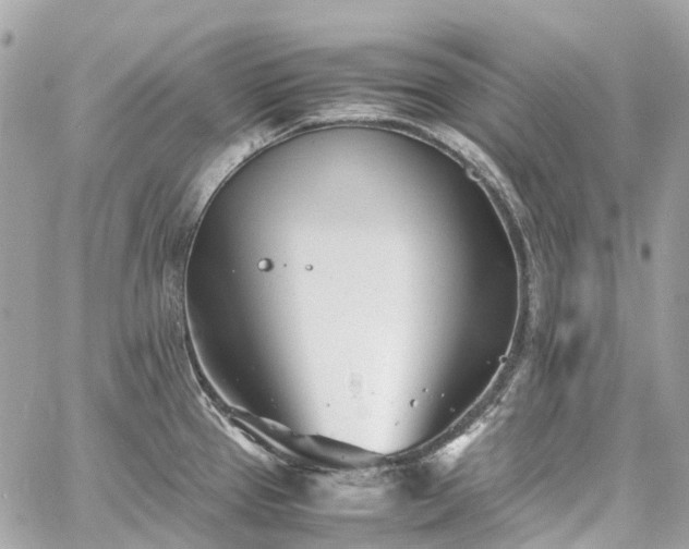 X0000060751337200511141149