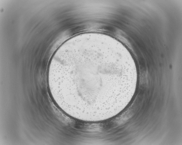 X0000060751338200511141149