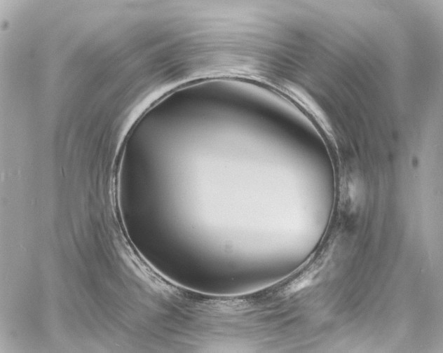 X0000060751340200511141149