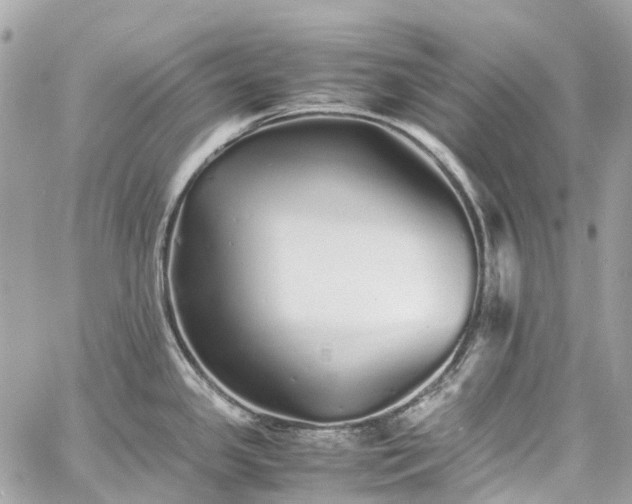 X0000060751341200511141149