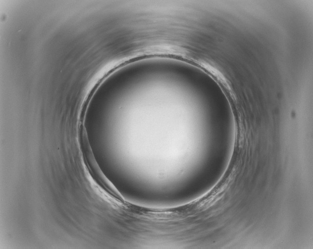 X0000060751342200511141149