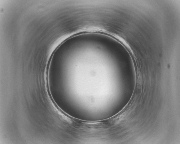 X0000060751343200511141149