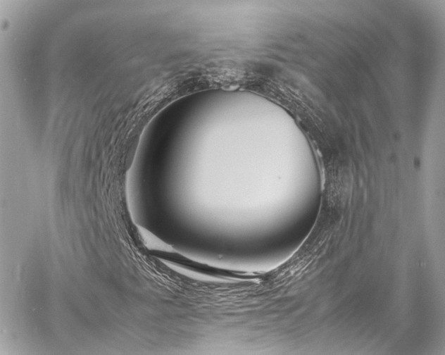 X0000060751345200511141148