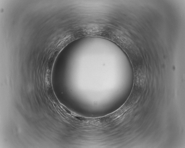 X0000060751346200511141148