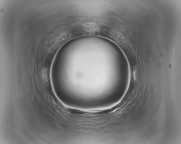 X0000060751347200511141148