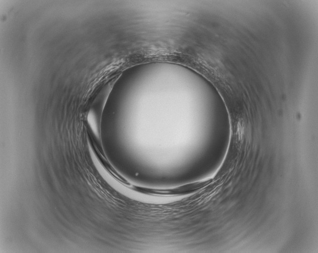 X0000060751348200511141148