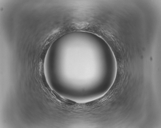 X0000060751349200511141148