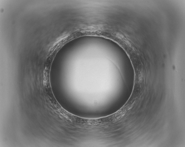 X0000060751350200511141148