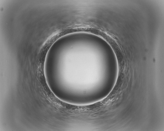 X0000060751351200511141148