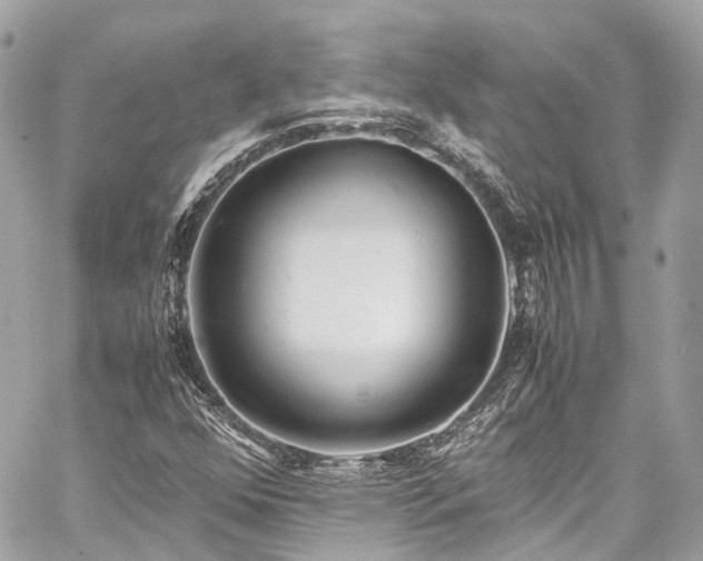 X0000060751352200511141148