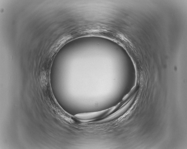 X0000060751353200511141148