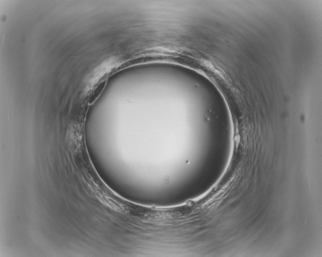 X0000060751355200511141148