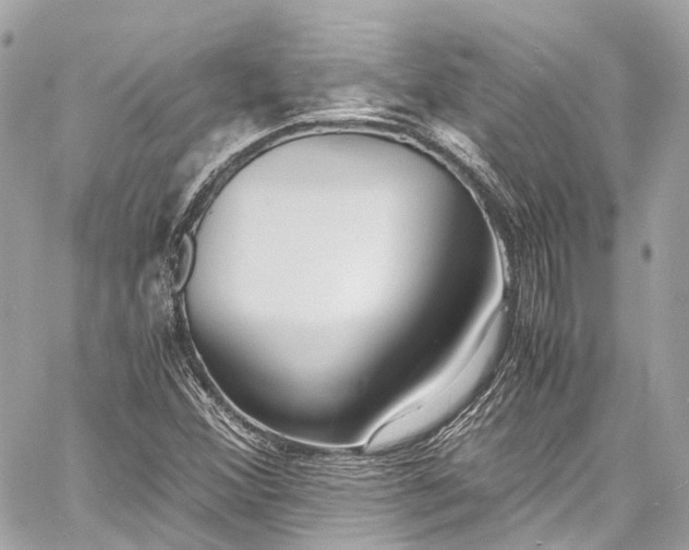 X0000060751356200511141148