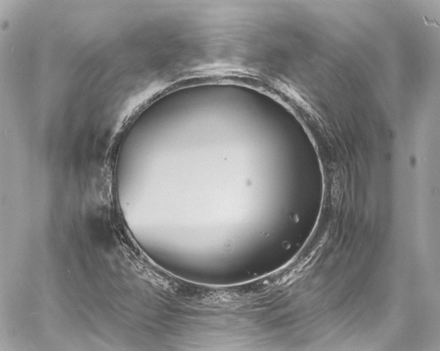 X0000060751358200511141148